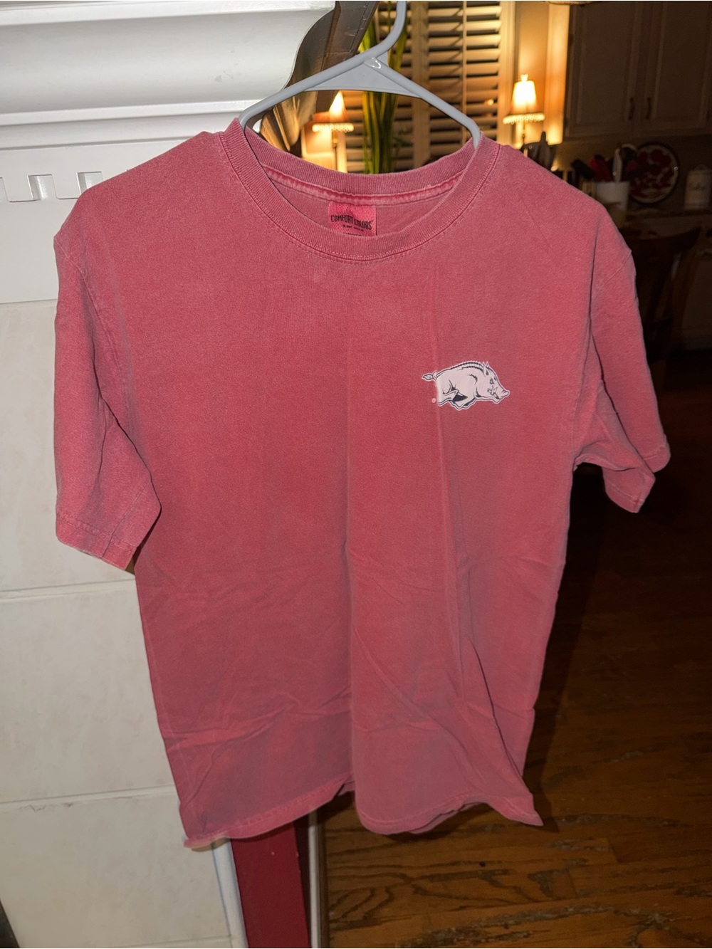 Arkansas Comfort Colors Short-Sleeve Tee in Dusty Rose with Team Logo